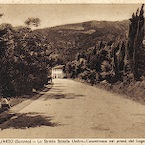 Il ristorante La Pineta